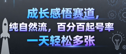 成长感悟赛道，纯自然流，百分百起号率 一天轻松多张-资源整合网