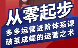 拼多多运营进阶系统课，从零起步，多多运营进阶体系课，破茧成蝶的运营之术（更新9月）-资源整合网