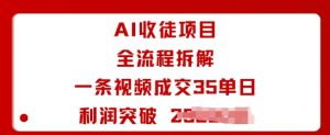 AI收徒项目全流程拆解一条视频成交35单日利润突破1k+-资源整合网