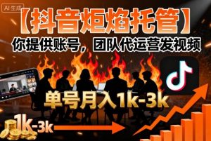 【抖音炬焰托管】你提供账号，团队代运营发视频，单号月入1k+【揭秘】-资源整合网
