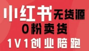 小红书无货源0粉电商课，开店准备、选品策略、笔记撰写、视频剪辑、数据分析、账号打造、资料文档-资源整合网