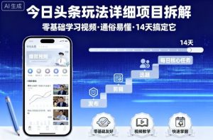 今日头条玩法详细项目拆解，零基础学习视频 通俗易懂 14天搞定它-资源整合网