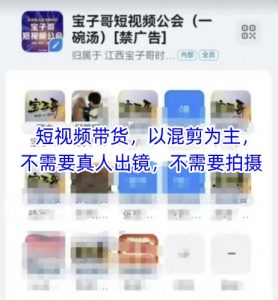 宝子哥头部团队短视频带货，以混剪为主，不需要真人出镜，不需要拍摄【更新9月】-资源整合网