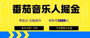 番茄音乐人掘金，单账号最高可撸1k+，可无限矩阵去做，零投入-资源整合网