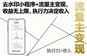 去水印小程序+流量主变现，收益无上限，执行力决定收入-资源整合网