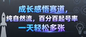 成长感悟赛道，纯自然流，百分百起号率 一天轻松多张-资源整合网