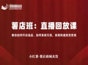 小红薯薯店商城卖货直播回放课，教你如何开店选品、如何系统引流，实现快速卖货变现-资源整合网
